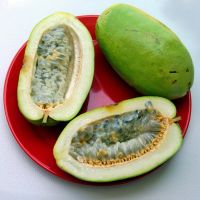 เมล็ดพันธุ์ เสาวรสยักษ์ แตงสา สุคนธรส 15 เมล็ด Giant Passion Fruit Seed, Giant Granadilla ของแท้ 100%