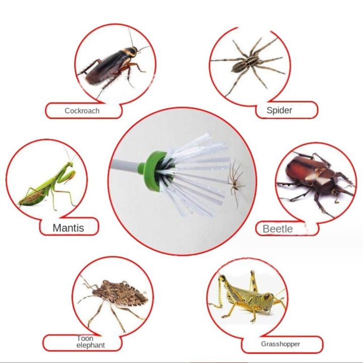 solvable-crickets-อุปกรณ์ดักจับแมลงและแมลง-การควบคุมสัตว์รบกวน-จับแมงมุม-แมลงสาบ-แมงป่อง-แมลงวัน-กับดักที่เป็นมิตรอย่างมีมนุษยธรรม-ของใหม่-สีเขียวอ่อน-แมลงที่สร้างสรรค์-บ้านในบ้าน