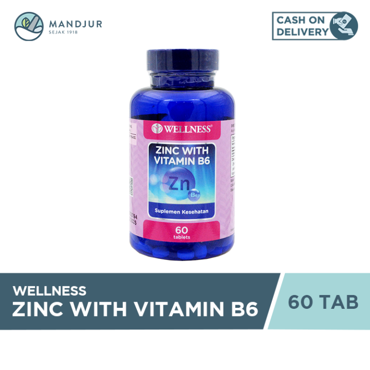 Wellness Zinc with Vitamin B6 60 Tablet Suplementasi Zinc dan Vitamin