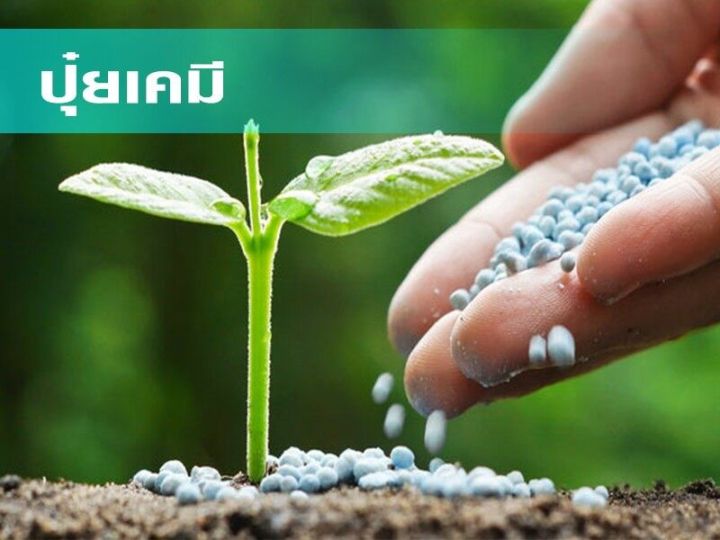 ปุ๋ย-สูตร-16-16-16-บรรจุถุง-น้ำหนัก-4-กก-สำหรับบำรุงต้นไม้