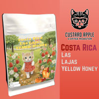 เมล็ดกาแฟคอสตาริกา costa rica las lajjas yellow honey