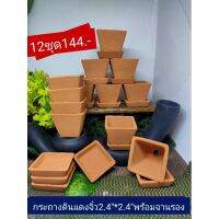 กระถางจิ๋วดินแดง2.4*2.4พร้อมจานรอง12ชุด