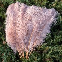 Leather Pink Feathers 6-18 Decoration for Crafts Wedding Table Centerpieces Plumes Accessories 10Pcs/Lot