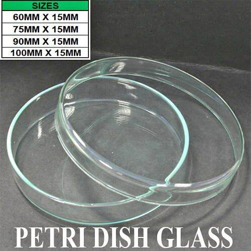 Petri Dish Glass Lazada PH