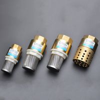 1/2" 3/4" 1" 1-1/2" 2" BSPP Brass One Way Female Thread Foot Valve Mesh Check Valve with Holes Strainer Filter DN25 Screw Thread Plumbing Valves