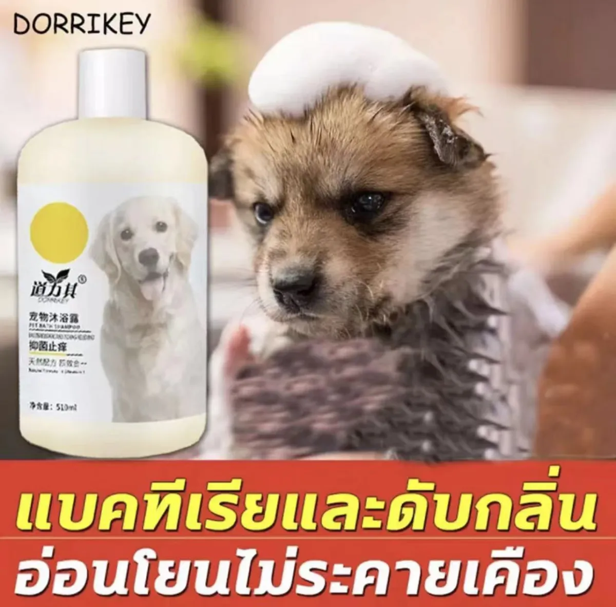 แชมพูกำจัดเห็บหมัดสุนัข DAOLIQI 500ML แชมพูสุนัขหอมๆ ลดคัน ลดขนร่วง ป้องกันผิวหนังสัตว์ ให้ขนใสสวย แชมพูกำจัดเห็บ หมัด ครีมอาบน้ำแมว แชมพูแมว แชมพูสุนัข แชมพูอาบน้ำสุนัข แชมพูอาบน้ำหมา แชมพูอาบน้ำแมว แชมพูหมา สบู่อาบน้ำแมว น้ำยาอาบน้ำแมว อาบน้ำแมว dog ... แชมพูกำจัดเห็บหมัดสุนัข Daoliqi 500Ml แชมพูสุนัขหอมๆ ลดคัน ลดขนร่วง ป้องกันผิวหนังสัตว์ ให้ขนใสสวย แชมพูกำจัดเห็บ หมัด ครีมอาบน้ำแมว แชมพูแมว แชมพูสุนัข แชมพูอาบน้ำสุนัข แชมพูอาบน้ำหมา แชมพูอาบน้ำแมว แชมพูหมา สบู่อาบน้ำแมว น้ำยาอาบน้ำแมว อาบน้ำแมว Dog ...
