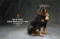 Mr. Z Studio ตัวเลข1:6 Rottweiler,โมเดลเก็บสัตว์สุนัขสัตว์เลี้ยงตำรวจน่ารักของขวัญเด็กทำจากเรซิ่นอุปกรณ์เสริมเดสก์ท็อปสำหรับสำนักงาน