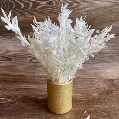 15g/10 20CM Dried Ruscus Flowers Branch in BeigeMini Dry Rich And Valuable Leaves BouquetWedding Decoration