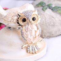 Big Owl Brooches For Wedding Bouquet Vintage Wedding Hijab Scarf Pin Up Buckle Femininos Brooches Couple Collar Jewelry Pins