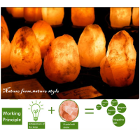 Himalayan Natural Crystal Rock Salt Lamp RGB USB Power Negative Ion Air Purifier Night Light Colorful Relax Mood Warm White