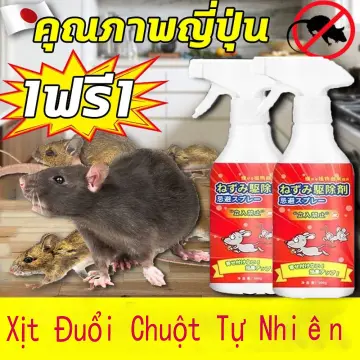 Cách sử dụng thuốc xịt đuổi chuột Thái Lan như thế nào? 

