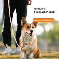 Dog Training Leash Sliding pet Dog Nylon leash Strap Adjustable leash collar Pet supplies Chest strap Nylon dog cat Flush-proof