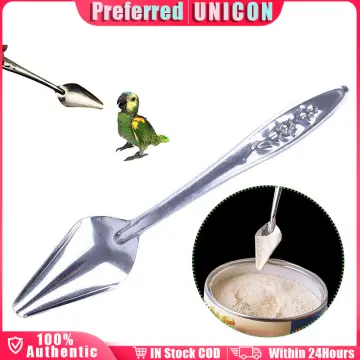 Stainless Steel Bird Feeding Spoons 2PCS, Feed Medicine Milk Food