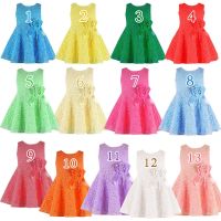 [COD] European and foreign trade childrens spring summer new product sleeveless lace girls dress 13 colors optional