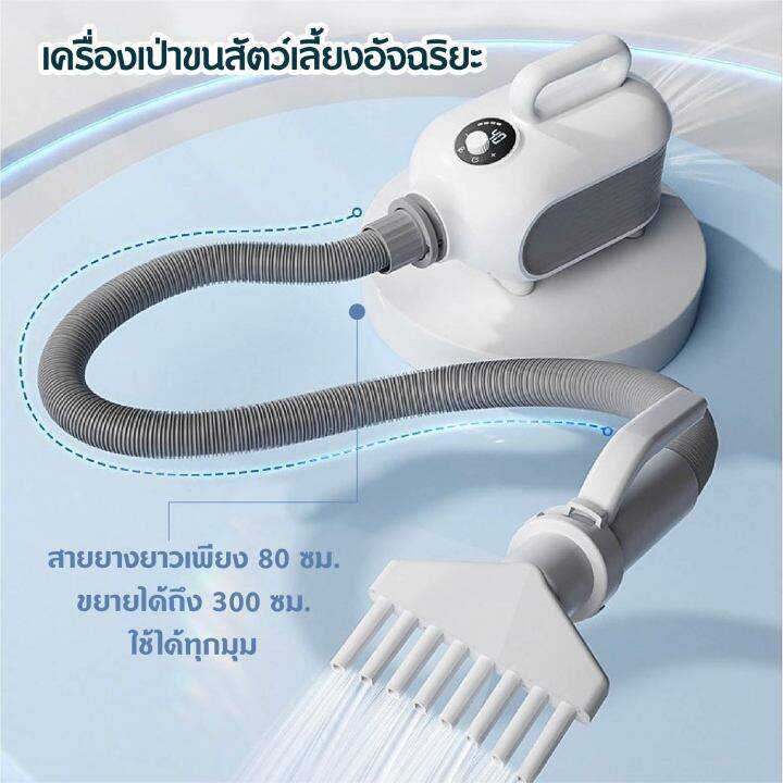 petparadise-th-hipidog-2000w-เครื่องเป่าขนสัตว์เลี้ยงขนาดเล็ก-เครื่องเป่าขน-เป่าขนสัตว์เลี้ยง