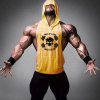 hot【DT】 New Men Gym Workout Sleeveless Hoodies Man NO PAIN GAIN Hooded Male Looes Clothing