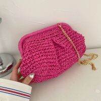 【YF】 Summer Designer Shoulder Bag Warm Party Straw Weaving Purse Women Pillow Dumpling Cross Body Fashion Pouch Cloud