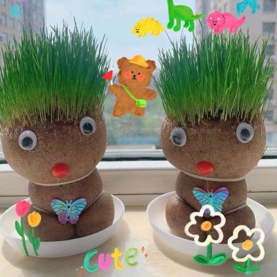 【Loose】ตุ๊กตาหญ้า หญ้าแมว กระถางสร้างสรรค์ grass head ของขวัญคริสต์มาส