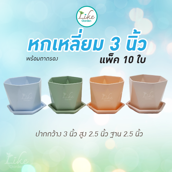 กระถางทรงหกเหลี่ยม-ขนาด-3-นิ้ว-พร้อมถาดรอง-แพ็ค-10-ใบ-กระถางพลาสติก-กระถางแคคตัส-กระถางปลูกต้นไม้-กระถางราคาถูกมีคุณภาพ-กระถางทรงสวย