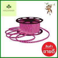 ไฟเส้น LED HI-TEK 5.3 วัตต์/ม. สีชมพู 50 ม.LED LIGHT STRIP HI-TEK 5.3W/M PINK 50M **บริการเก็บเงินปลายทาง**