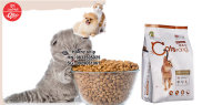 Orgo - CATSRANG thức ăn viên cao cấp cho mèo