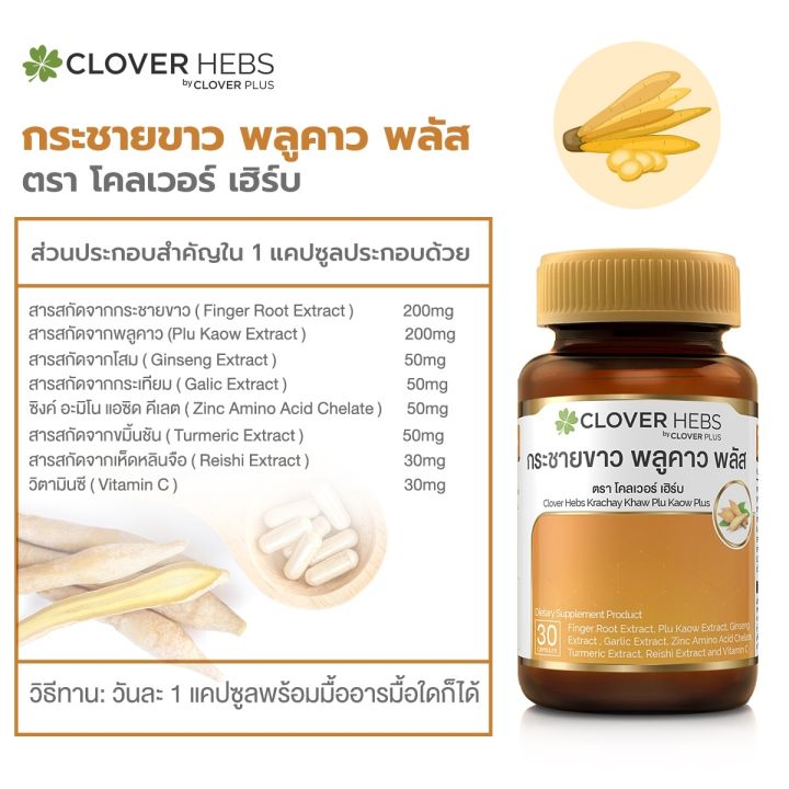 clover-hebs-by-clover-plus-โคลเวอร์เฮิร์บ-อาหารเสริม-สมุนไพร-สารสกัดจากกระชายขาว-พลูคาว-โสม-กระเทียม-ช่วยดูแลสุขภาพ-30-แคปซูล-อาหารเสริม