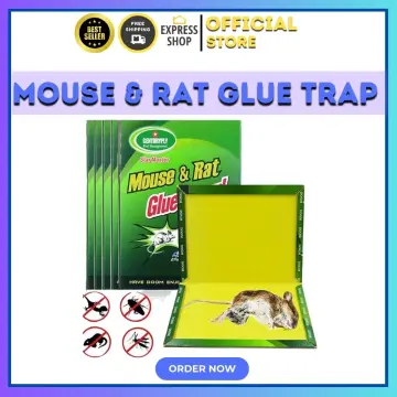 Anti Rodent Magic Carpet Rat Mice Catcher Killer Mouse Glue Trap