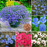 เมล็ด คุณภาพดี ราคาถูก เมล็ดพันธุ์แท้ 100% 100Pcs Mixcolor Blue Flax Flower Seeds เมล็ดพันธุ์ดอกไม้ ไม้ประดับ อุปกรณ์ทำสวน ดอกไม้ปลูก จัดสวน ดอกไม้ปลูก บอนไซ แต่งบ้านและสวน ต้นไม้ฟอกอากาศ ต้นไม้มงคล Plants Seeds for Home &amp; Garden Planting