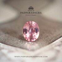 พัดพารัดชา ไพลินพัดพารัดชา 0.43 กะรัต Padparadscha Sapphire