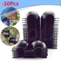 QKKQLA 10pcs Plant Rooting Ball Fruit Tree Root Grow Box Plastic Case Propagation Box Grafting Rooter Growing High-pressure