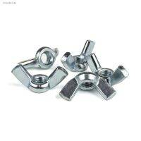 ﹉ Fastener Din 315 Grade 5 Screw M3 M4 M5 M6 M8 M10 Metric Din315 Stainless Steel Welded Type Butterfly Wing Nut M10