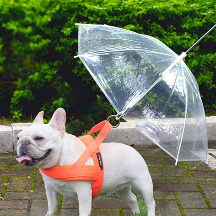 ร่มสุนัขสำหรับร่มสัตว์เลี้ยงสุนัขขนาดเล็กถึงขนาดกลางพร้อมสายจูงสำหรับฝนหรือวันที่หิมะตก