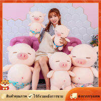 [Goods Collection] จัดส่งในพื้นที่ ใหม่ของเล่นตุ๊กตานุ่มกางเกงว่ายน้ำหมูตุ๊กตามิ่งขวัญหมูของขวัญตลกสาวหมอน25เซนติเมตร/40เซนติเมตร/50เซนติเมตร/60cm