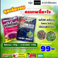 ชุดเดียวจบ ครบเพลี้ย+ไร ( ไพริดาเบน 100g+อะเซทามิพริด 100g ) สารกำจัดแมลง เพลี้ยไฟ เพลี้ยอ่อน ไร ไรแดง ไรขาว บอน ไม้ด่าง พริก มันสำปะหลัง