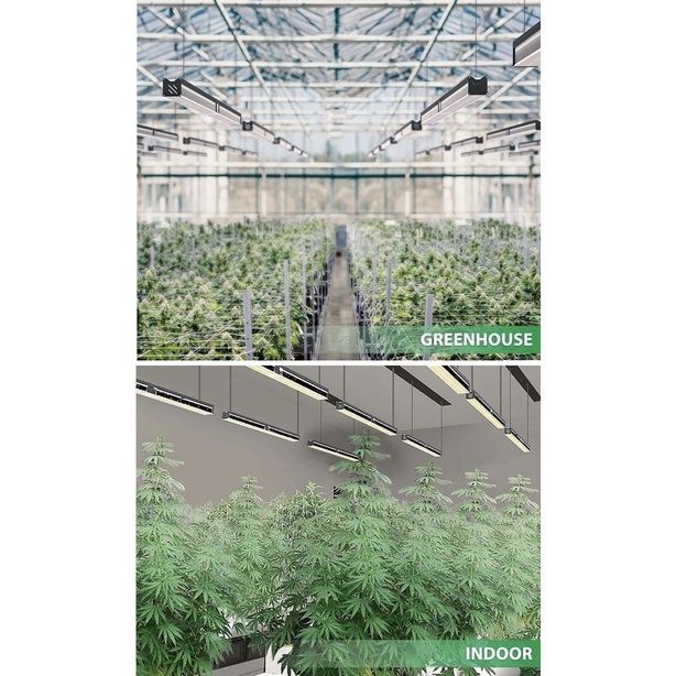 ส่งฟรี-ไฟปลูกต้นไม้-แบบในร่ม-gk-6000-full-spectrum-for-greenhouse