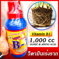 ปุ๋ยเคมีชนิดน้ำ โกลด์เด้นพลาวเวอร์ วิตามิน บี1 Golden Flower Vitamin B1 (USA) เพิ่มการเจริญเติบโตต้นพืช ช่วยในการเจริญเติบโตของพืช ขนาด 1 ลิตร