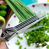 5ชั้นอเนกประสงค์สแตนเลสครัวหลายชั้นหั่น Scallion เครื่องเทศเครื่องมือการปรุงอาหาร