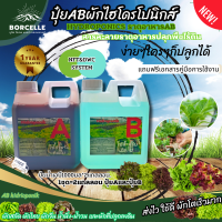 ปุ๋ยไฮโดรโปนิกส์ ปุ๋ยAB ปุ๋ย AB ไฮโดรโปนิกส์ ใหม่ !!! Super GroW-โตเร็ว ขนาด 1 ลิตร 2 แกลลอน A+B New