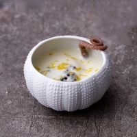 White Ceramic Plate Sea Urchin Shape Dessert Bowl Restaurant Dinner Plate Fruit Salad Bowl Decorative Bowls Dish Home Tableware