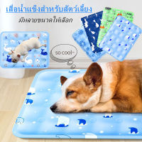 สัตว์เลี้ยง ที่นอนเจลเย็น Pet Cool Mat ที่นอนเจลทำความเย็นสัตว์เลี้ยง แผ่นทำความเย็น ที่นอนสุนัข แผ่นเจลเย็นแมว