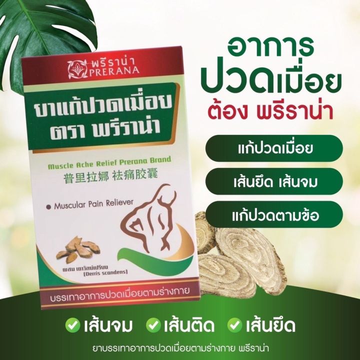 ยาแก้ปวดเมื่อย-ตราพรีราน่า-5แถม2-บรรเทาอาการปวดเมื่อย-ปวดคอ-บ่า-ไหล่-เส้นจม-เส้นติด-เส้นยึด-แก้ปวดตามข้อ