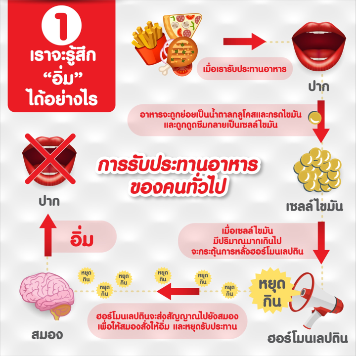 เลปติโก-พลัส-เอ็ม-กิฟฟารีน-ของแท้-อาหารเสริม-อาหารเสริมสตรี-ผู้หญิง-ความสวยความงาม-ไขมัน-ผงมะม่วง-ทับทิม-leptigo-plus-m-giffarine