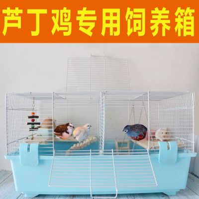 [COD] Rutin Large Breeding Household Quail Cole Villa Landscaping Fermentation Bed