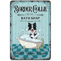 【hot】♨✣∋  Dog Metal Tin Sign Border Collie Co. Your Paws Printing Poster  tin sign