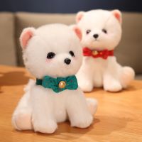 hot！【DT】✟  New 22cm Real-life Plushie Dog Pomeranian Stuffed Kawaii Toddler Children