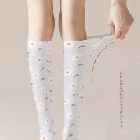 【LZ】℗☑  Small Daisy Print Compression Velvet Socks para senhoras meias de bezerro respirável macio Harajuku meninas JK fofo doce moda