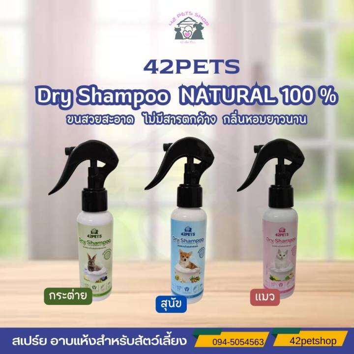 42pets-drgshampoo-แชมพูอาบแห้ง-สุนัข-น้องแมว-กระต่าย-100ml-250mi