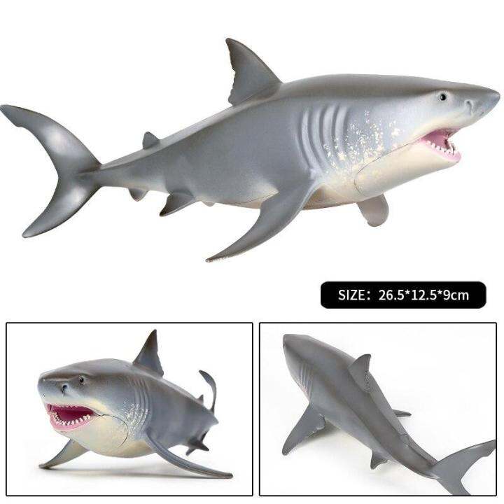 oenux-sea-life-สัตว์-great-white-shark-จำลอง-marine-big-shark-action-figures-pvc-รุ่นเหมือนจริงของเล่นเพื่อการศึกษาสำหรับเด็ก