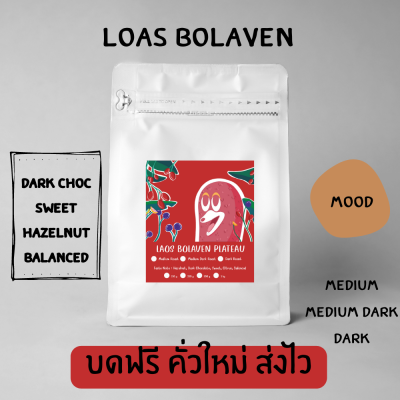 Mole Coffee : เมล็ดกาแฟคั่ว ลาวโบลาเวน อาราบิก้า บดฟรี ส่งไว คุ้มค่า ราคาถูก คั่วใหม่ทุกออร์เดอร์