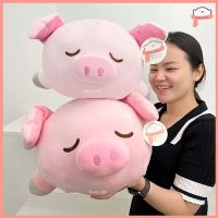 ตุ๊กตาหมูขี้เซา ตุ๊กตาหมู 70cm และ 100cm (แนวตรง 25นิ้ว และ 35นิ้ว)